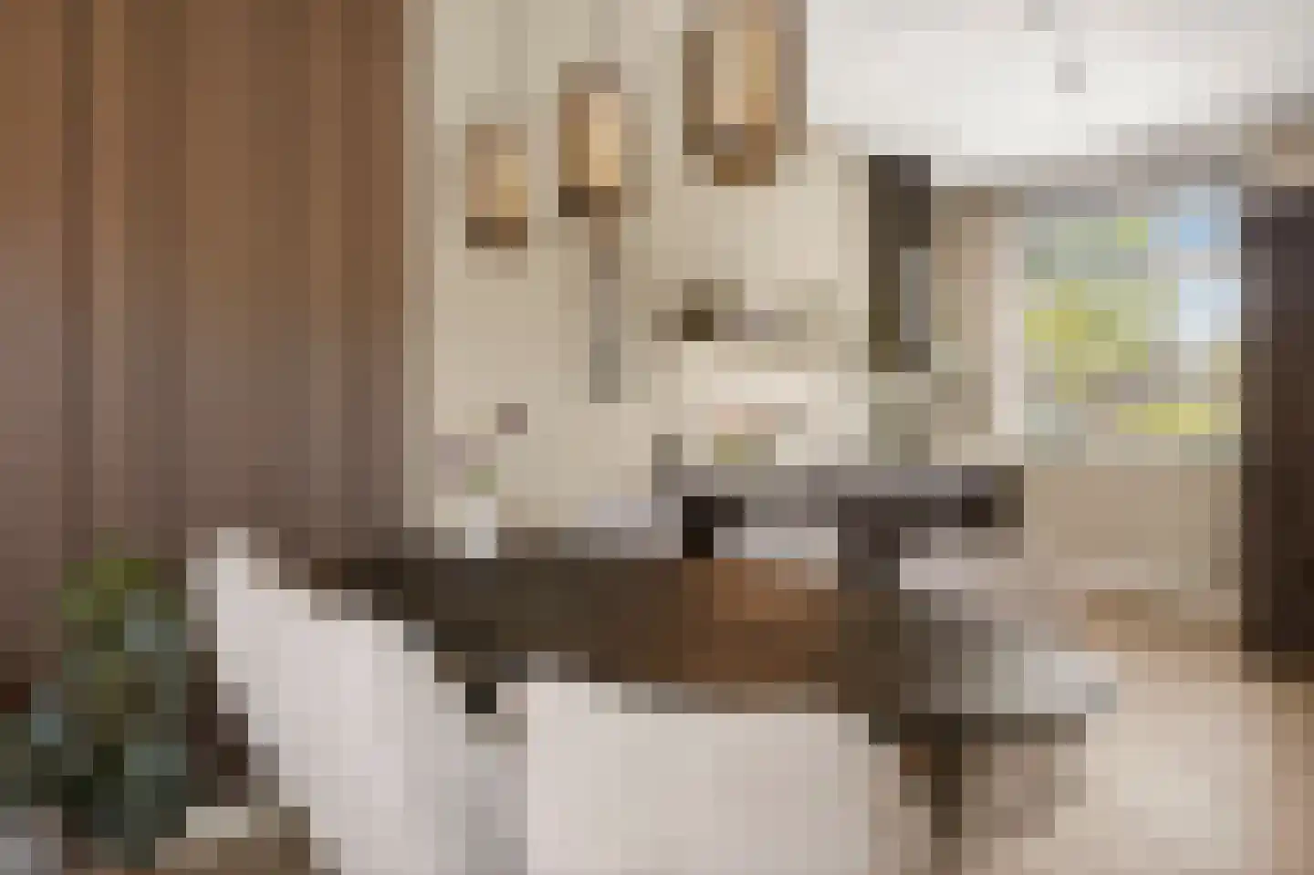 Enkalaan 55 Ede thumbnail 15
