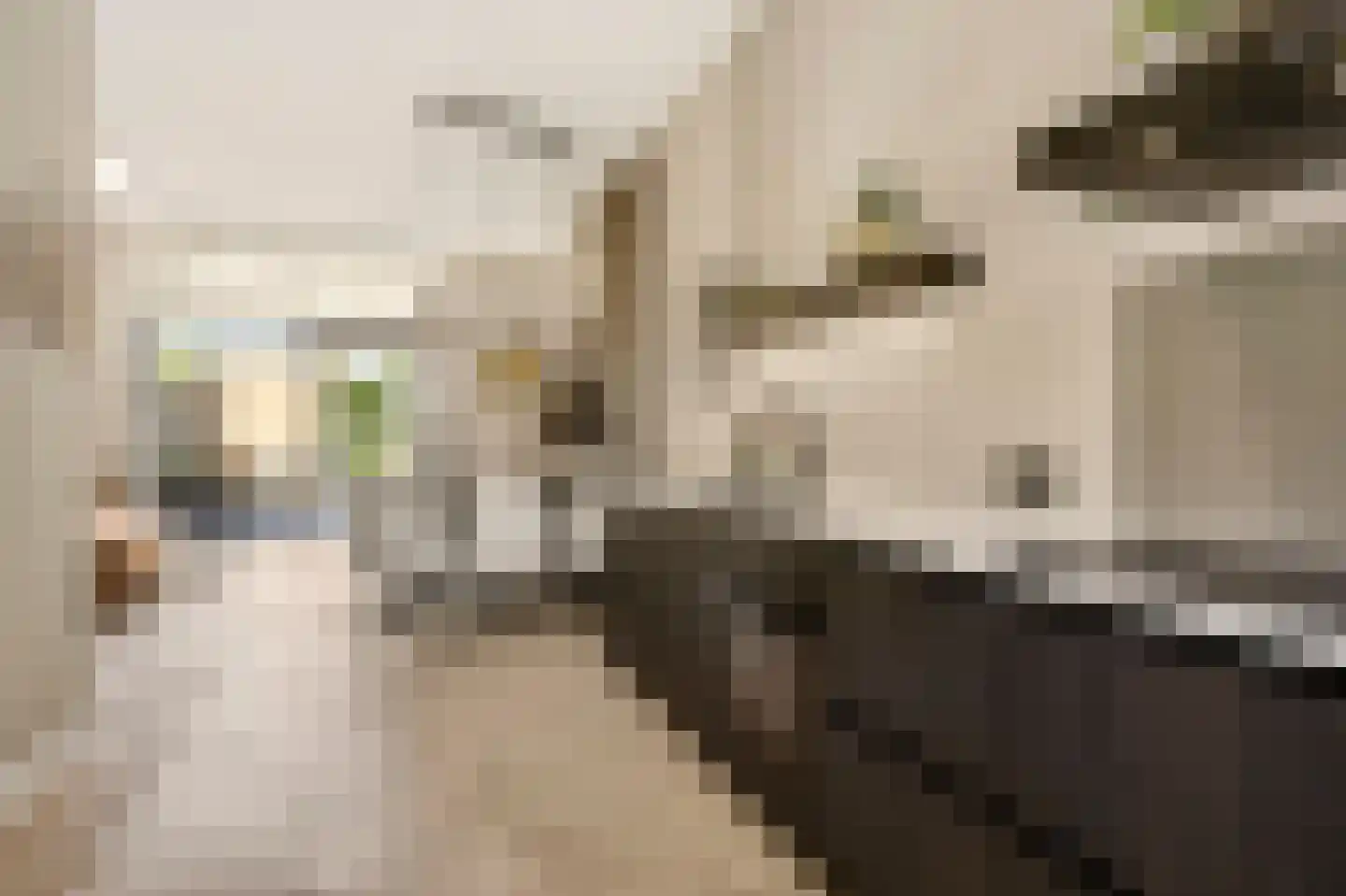 Enkalaan 55 Ede thumbnail 19