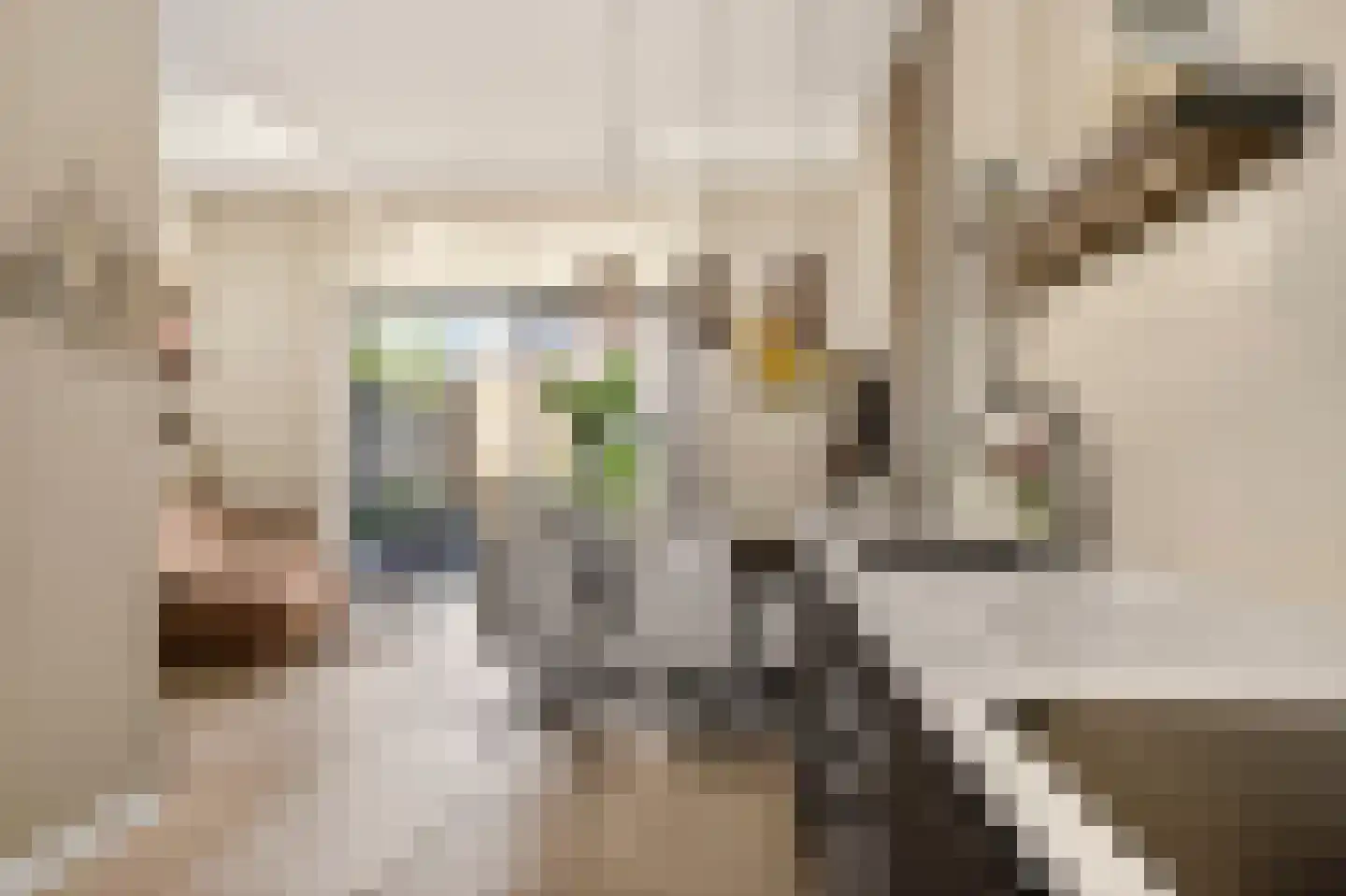 Enkalaan 55 Ede thumbnail 20