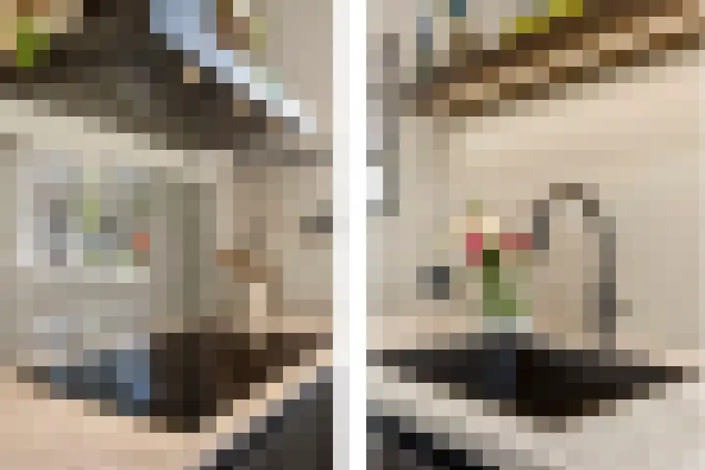 Enkalaan 55 Ede thumbnail 21