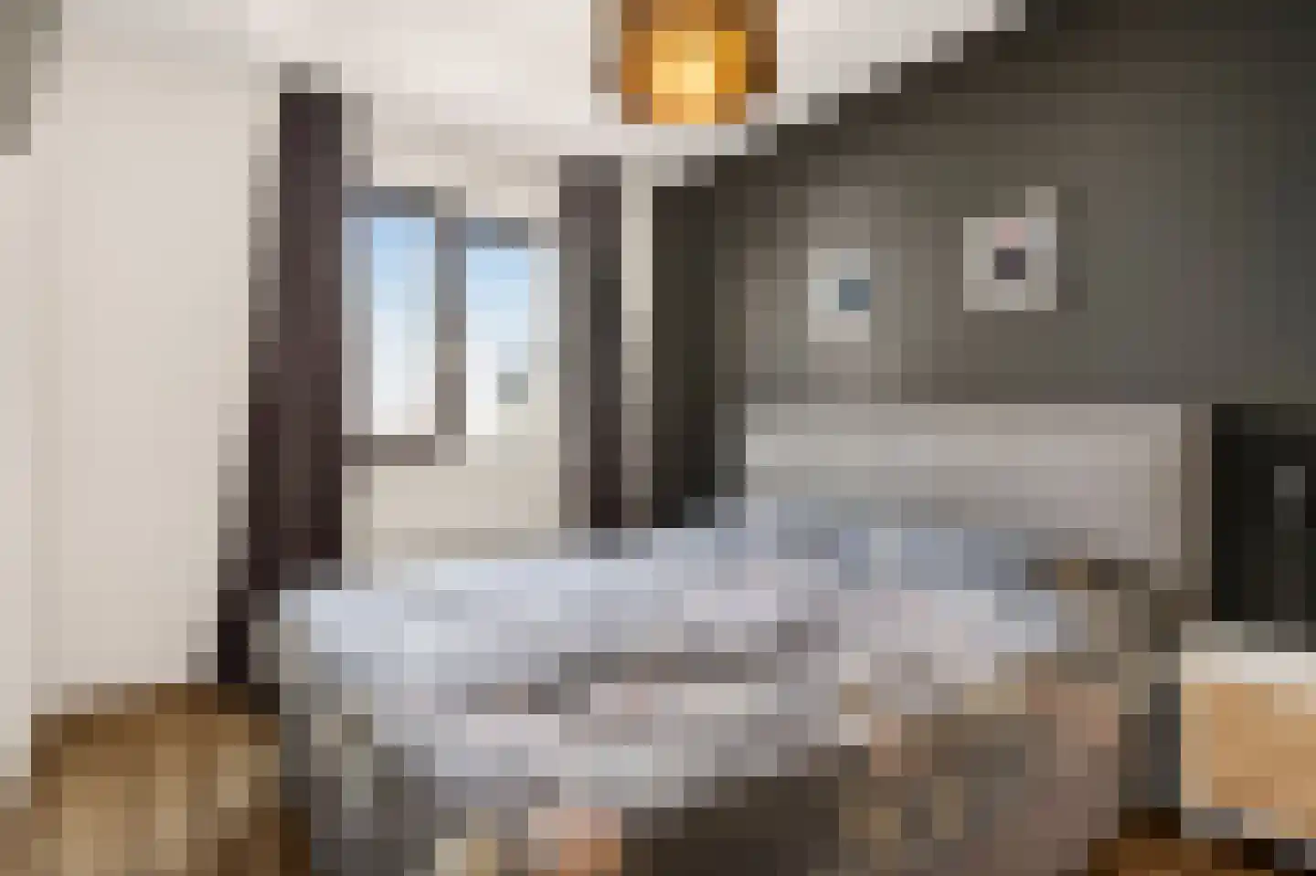 Enkalaan 55 Ede thumbnail 23