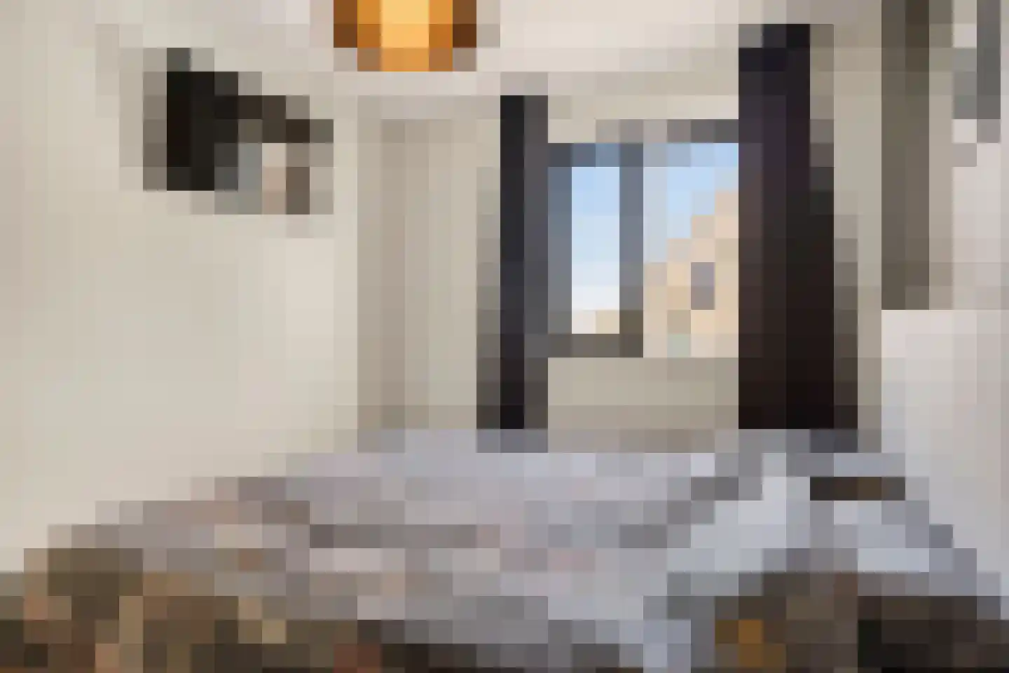 Enkalaan 55 Ede thumbnail 24