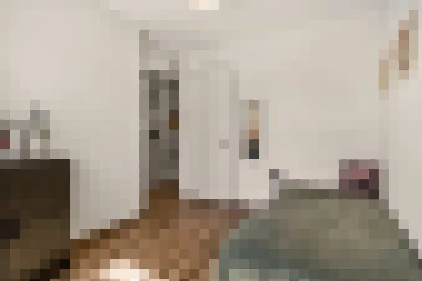 Enkalaan 55 Ede thumbnail 28