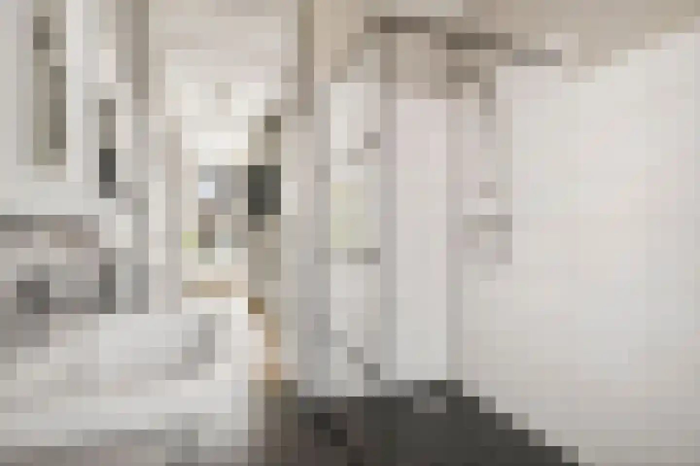 Enkalaan 55 Ede thumbnail 34