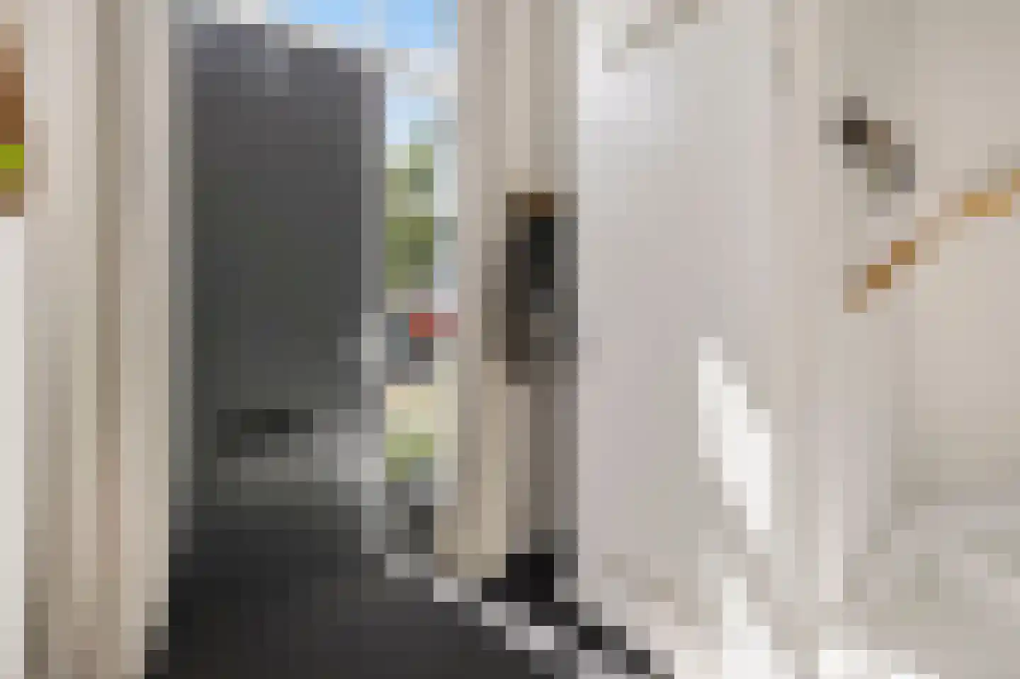 Enkalaan 55 Ede thumbnail 4