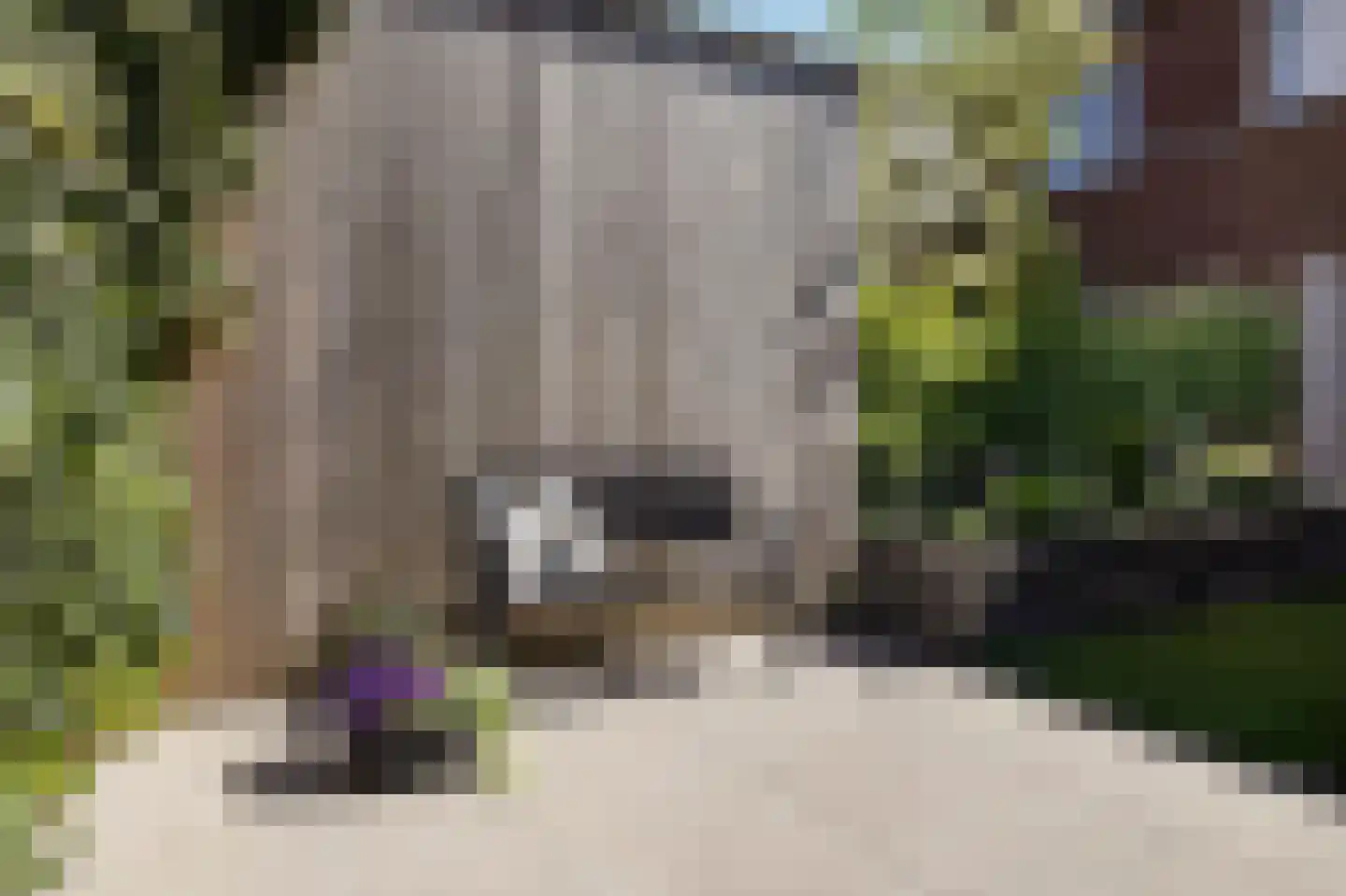 Enkalaan 55 Ede thumbnail 48
