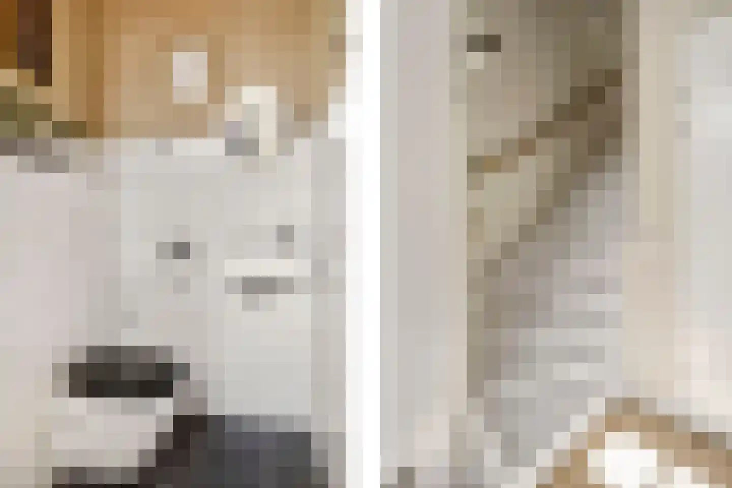 Enkalaan 55 Ede thumbnail 6