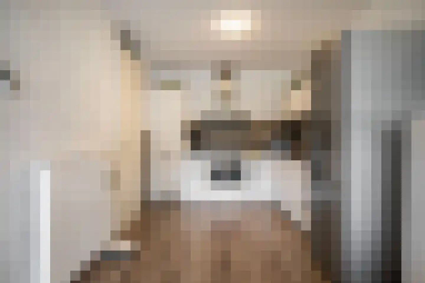 Enkalaan 6 Ede thumbnail 8