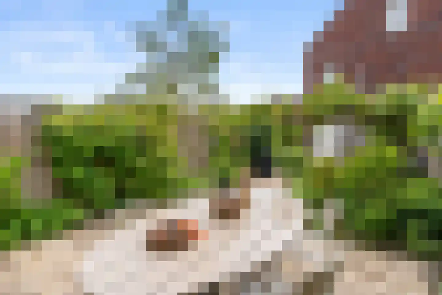 Enkalaan 66 Ede thumbnail 28