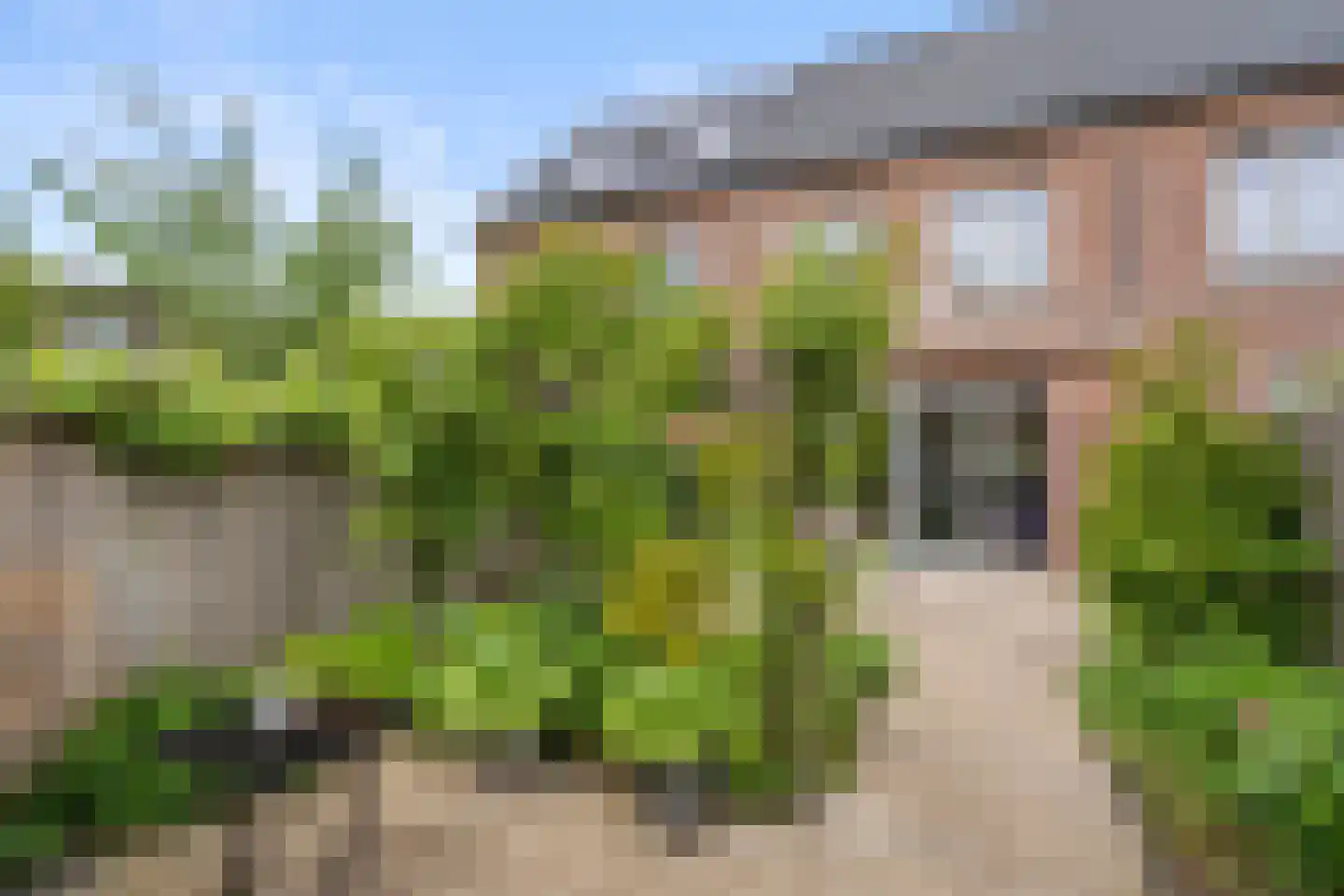 Enkalaan 66 Ede thumbnail 29