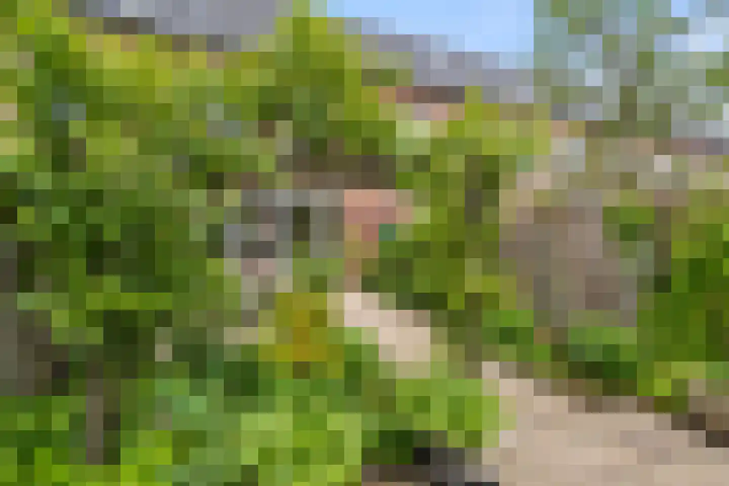 Enkalaan 66 Ede thumbnail 30