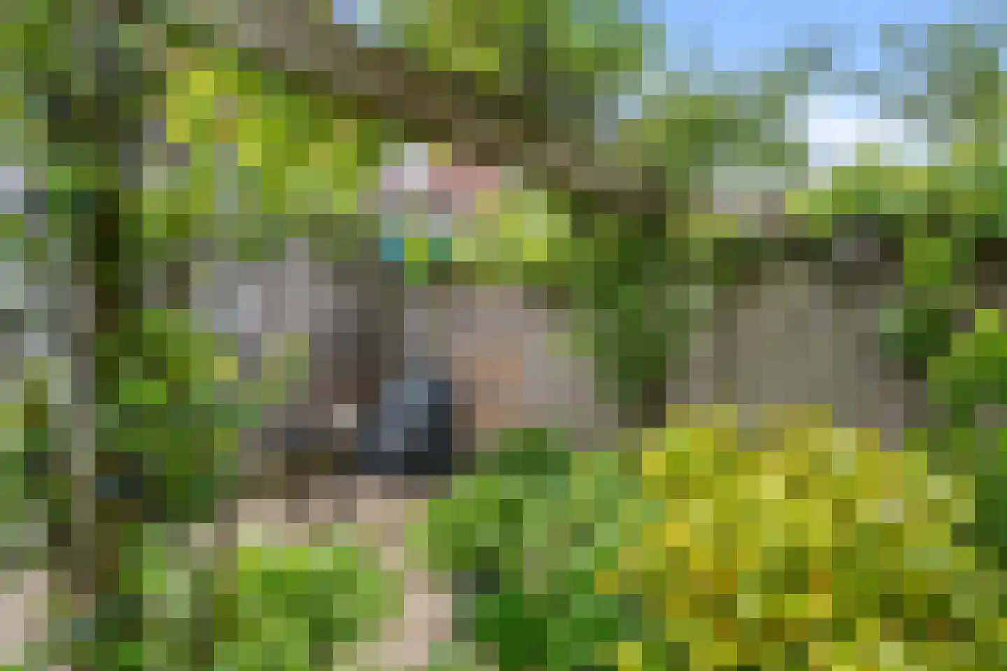 Enkalaan 66 Ede thumbnail 32