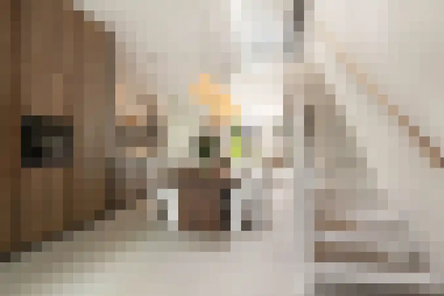 Enkalaan 7 Ede thumbnail 15