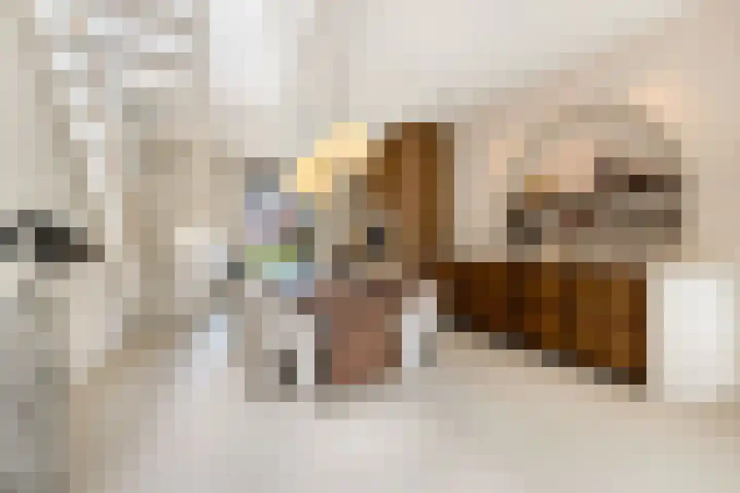 Enkalaan 7 Ede thumbnail 18