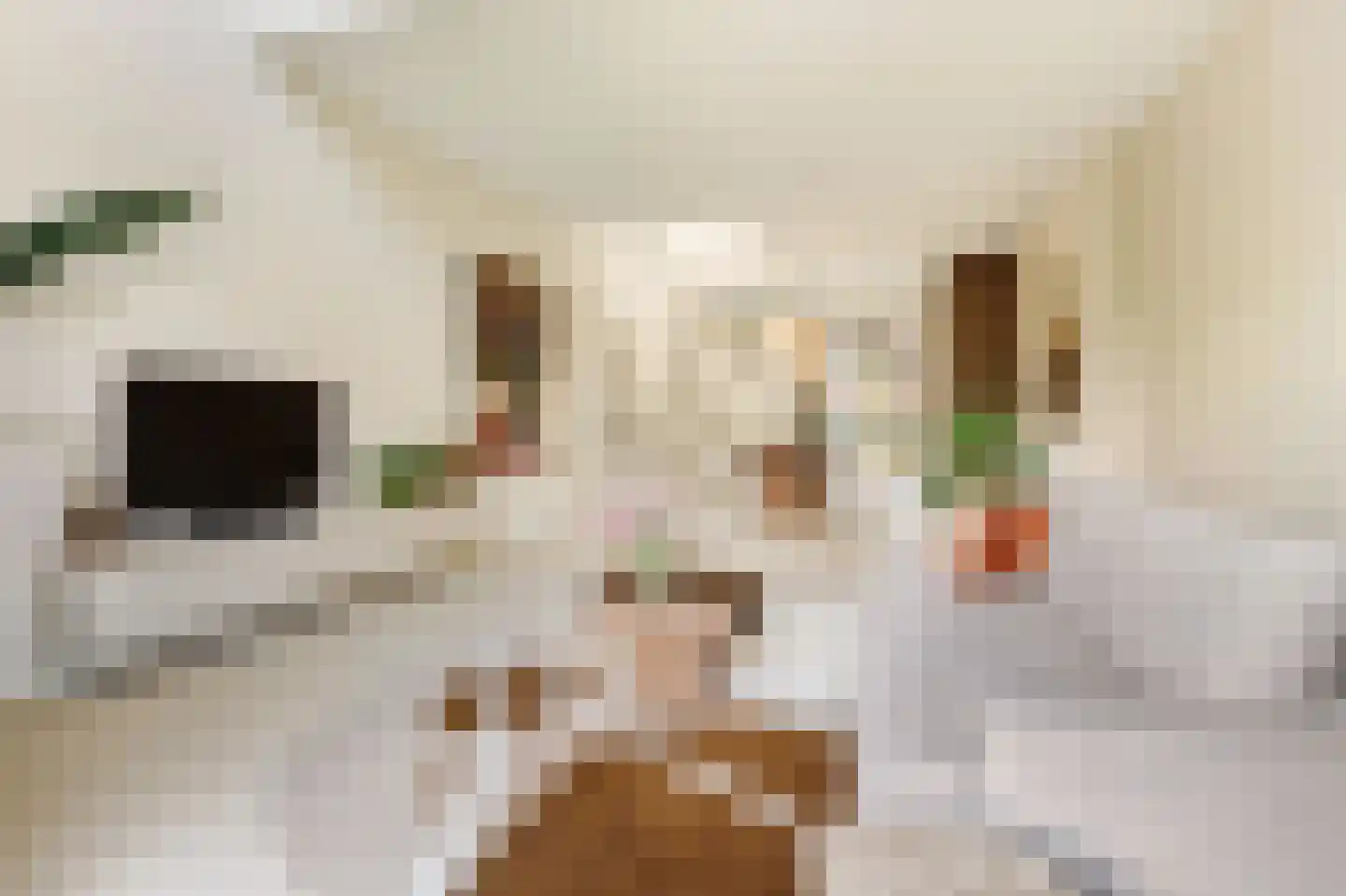 Enkalaan 7 Ede thumbnail 22