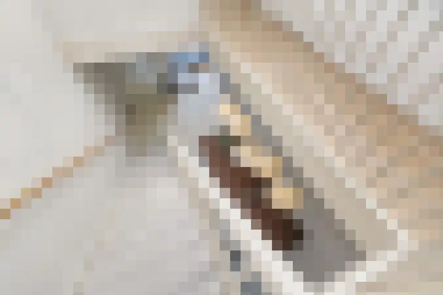 Enkalaan 7 Ede thumbnail 23