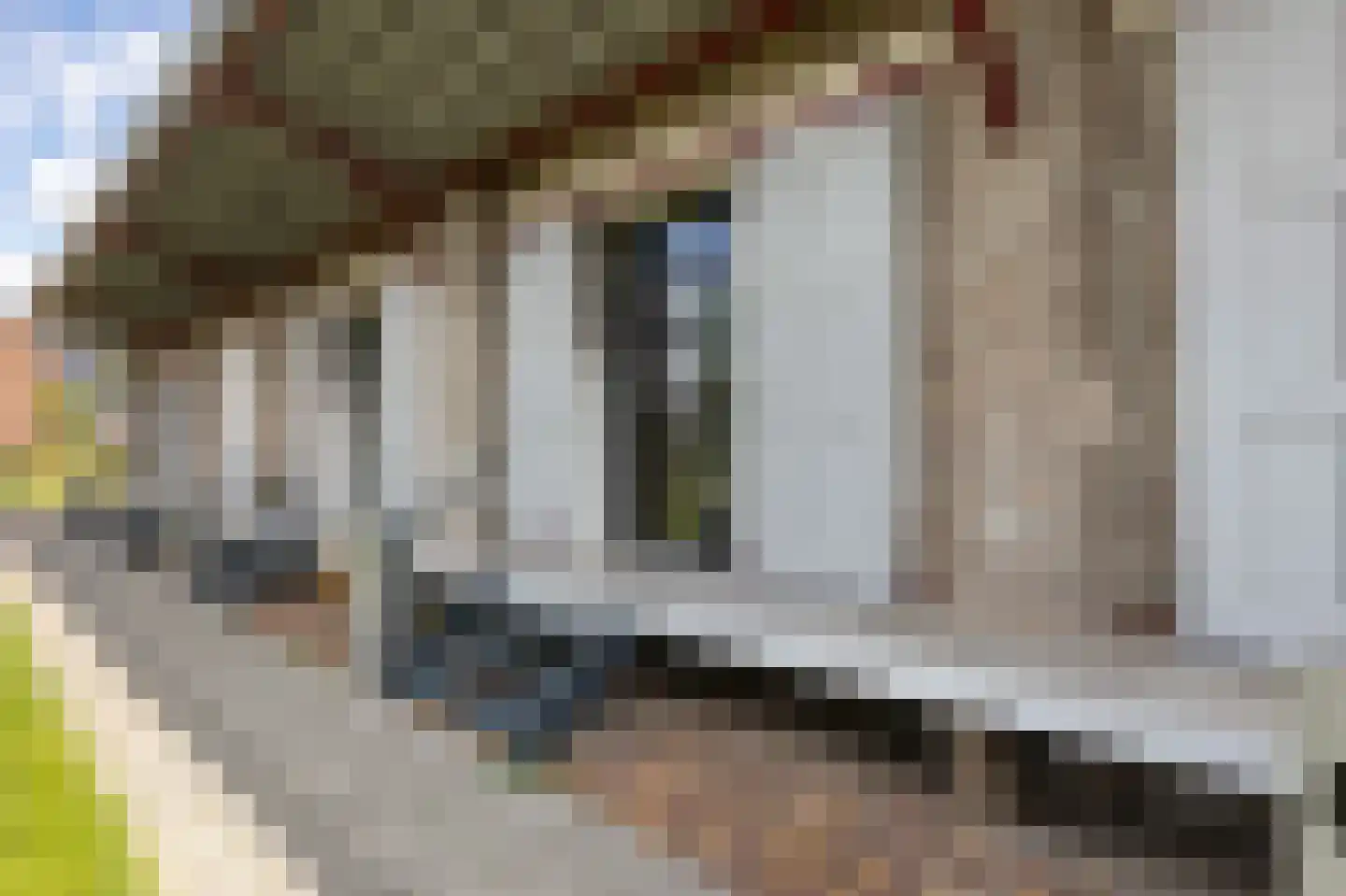Enkalaan 7 Ede thumbnail 9