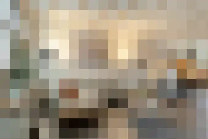 Enkele Ring 5 Sommelsdijk thumbnail 12