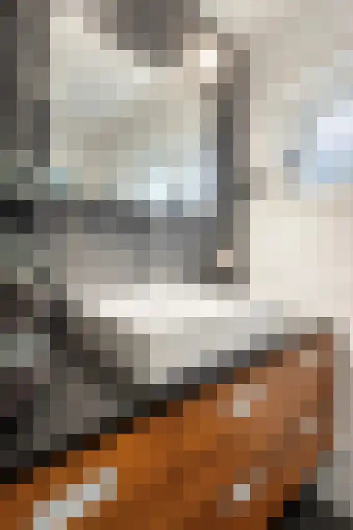Enkele Ring 5 Sommelsdijk thumbnail 20