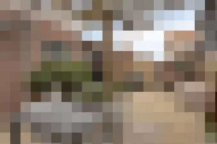 Enkele Ring 5 Sommelsdijk thumbnail 30