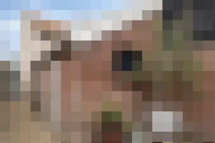 Enkele Ring 5 Sommelsdijk thumbnail 33