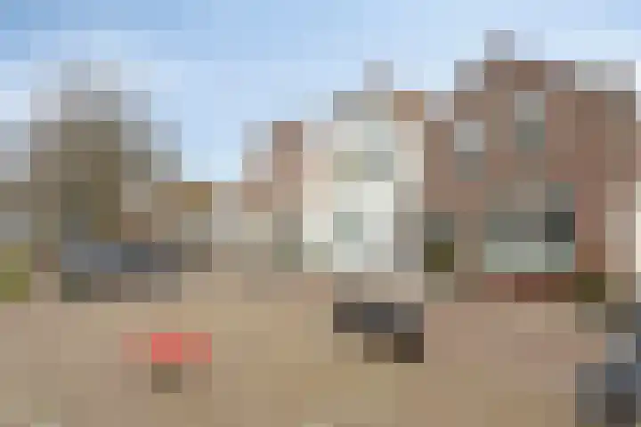Enkele Ring 5 Sommelsdijk thumbnail 36