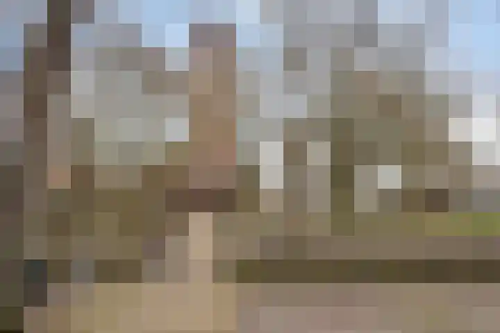 Enkele Ring 5 Sommelsdijk thumbnail 38