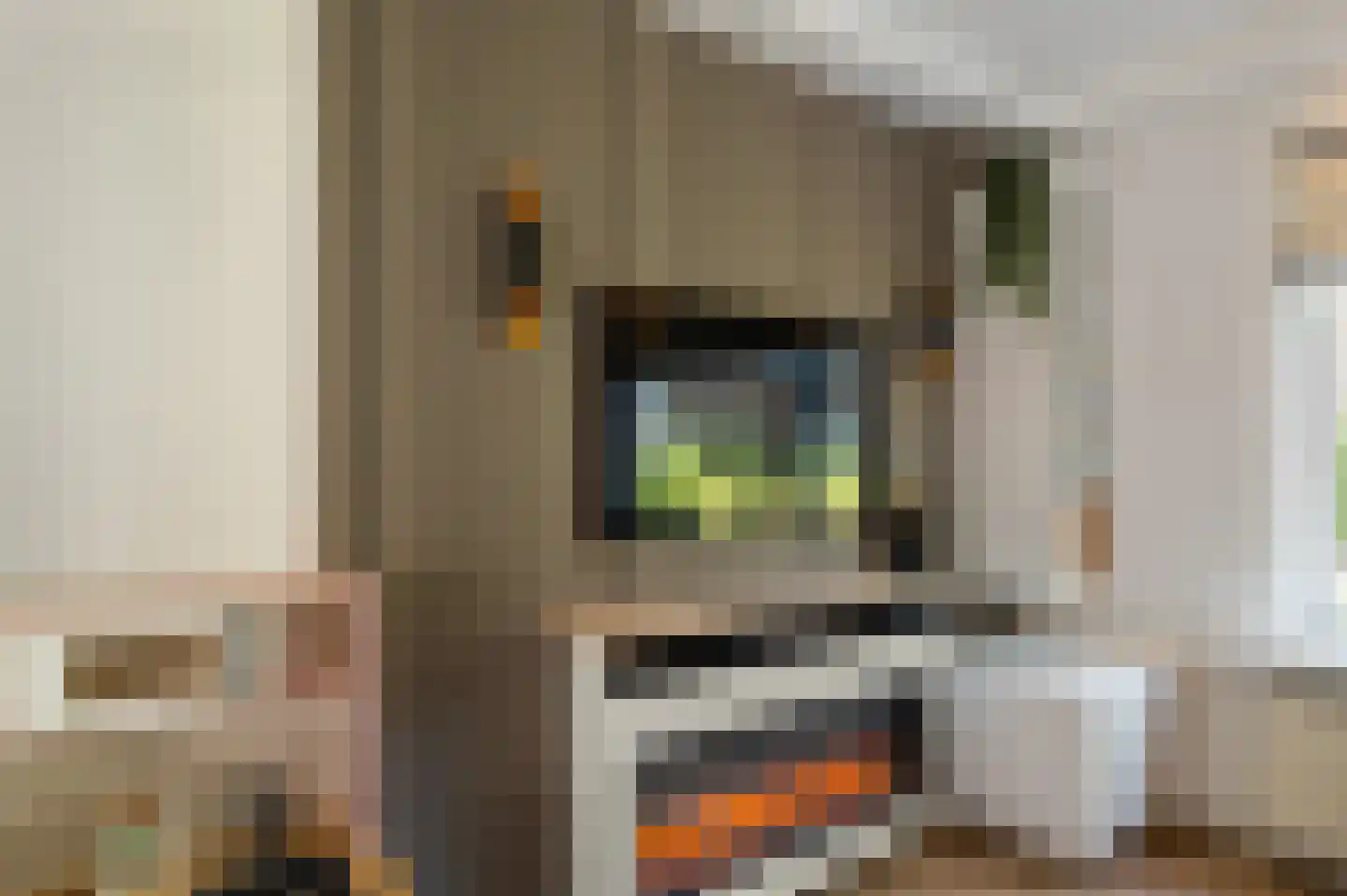 Enkhuizenstraat 11 Emmeloord thumbnail 12