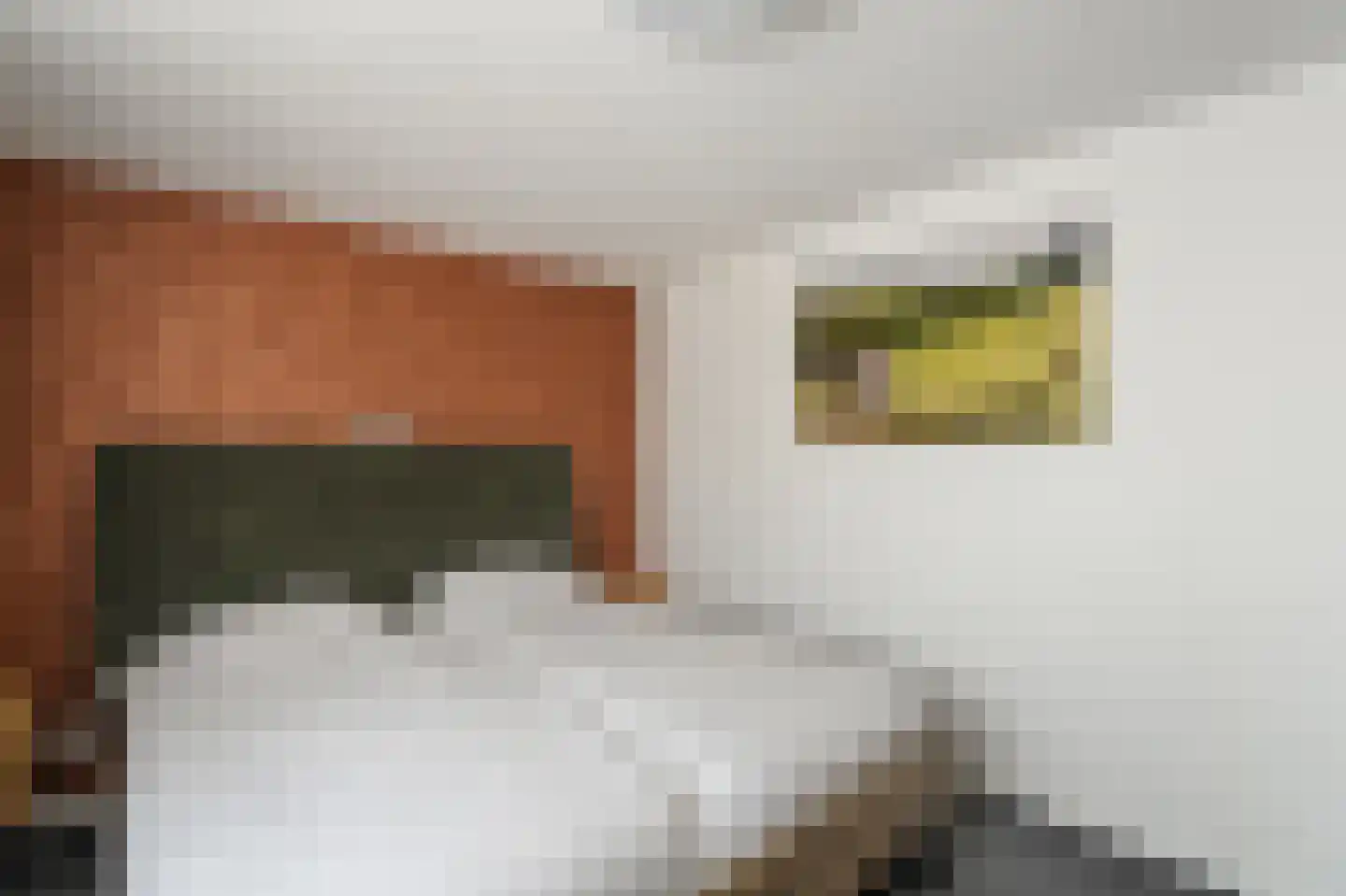 Enkhuizenstraat 11 Emmeloord thumbnail 25