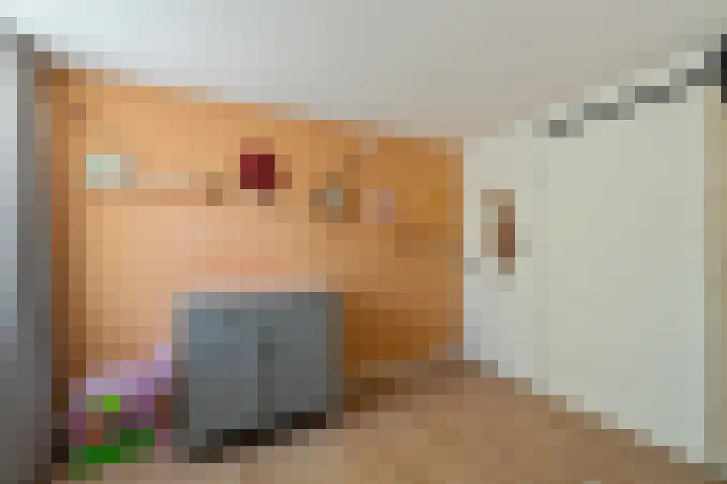 Enkhuizenstraat 11 Emmeloord thumbnail 28