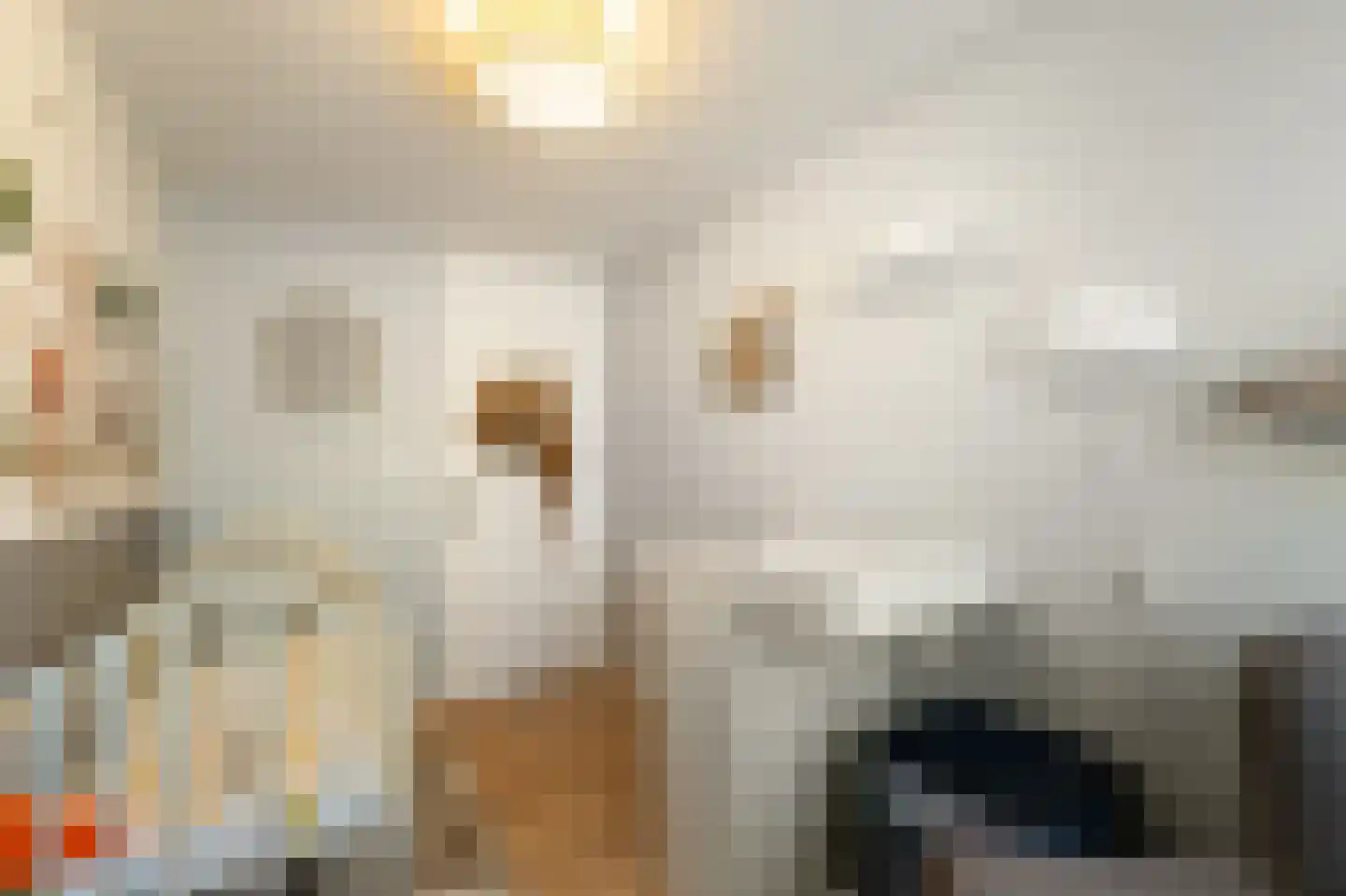 Enkhuizenstraat 11 Emmeloord thumbnail 32