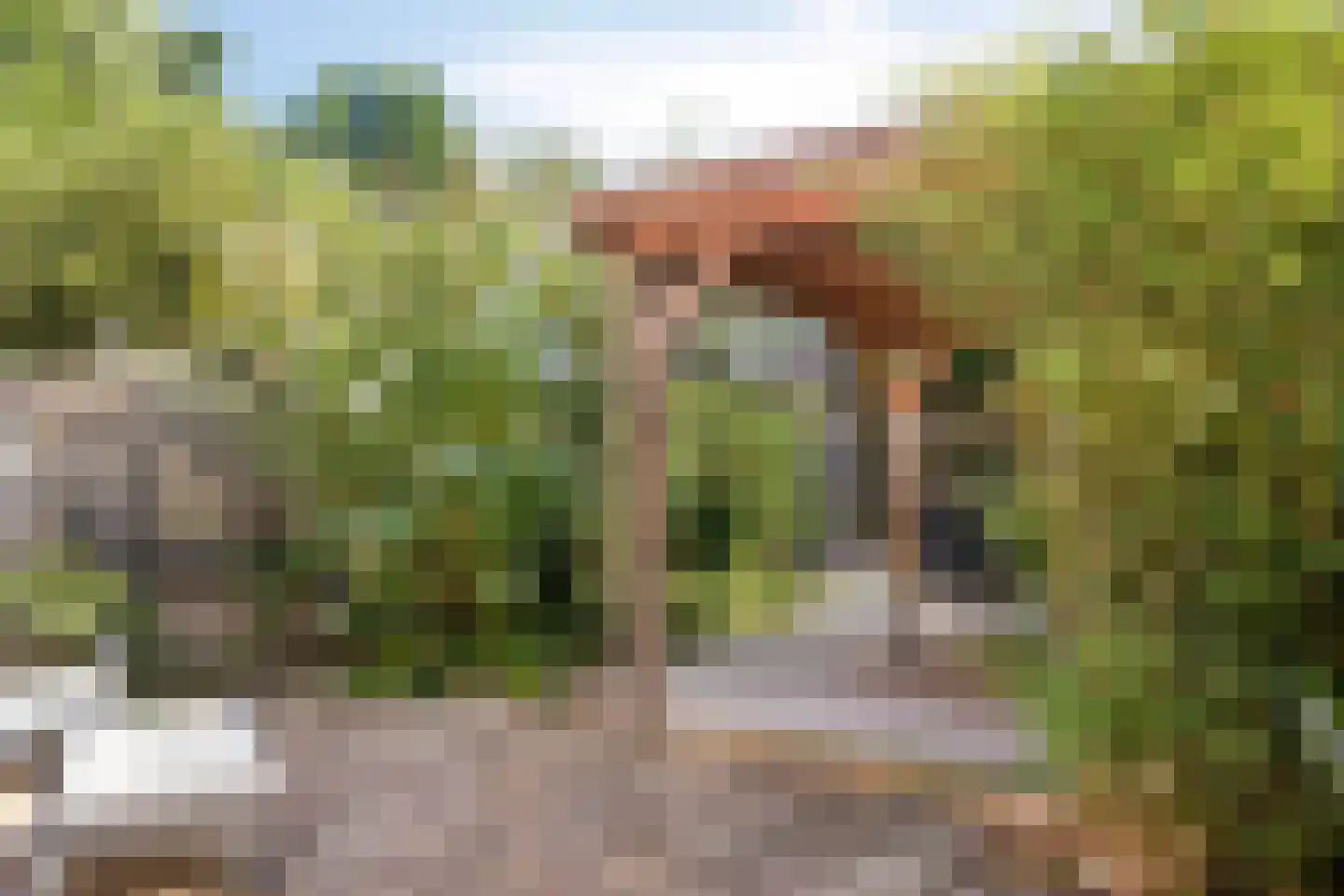 Enkhuizenstraat 14 Arnhem thumbnail 11