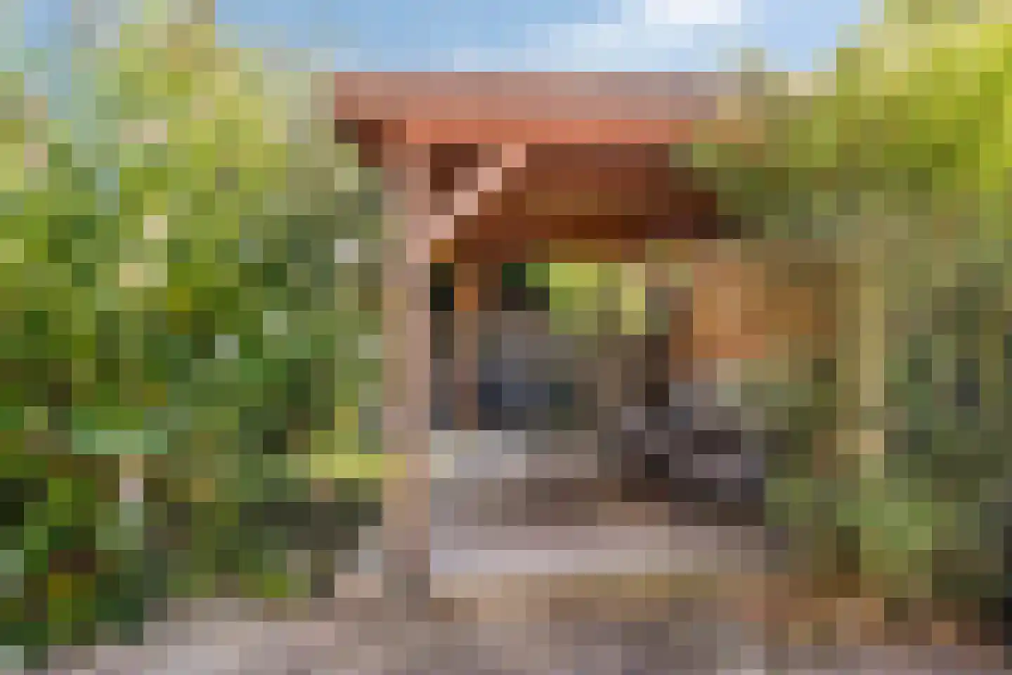 Enkhuizenstraat 14 Arnhem thumbnail 12