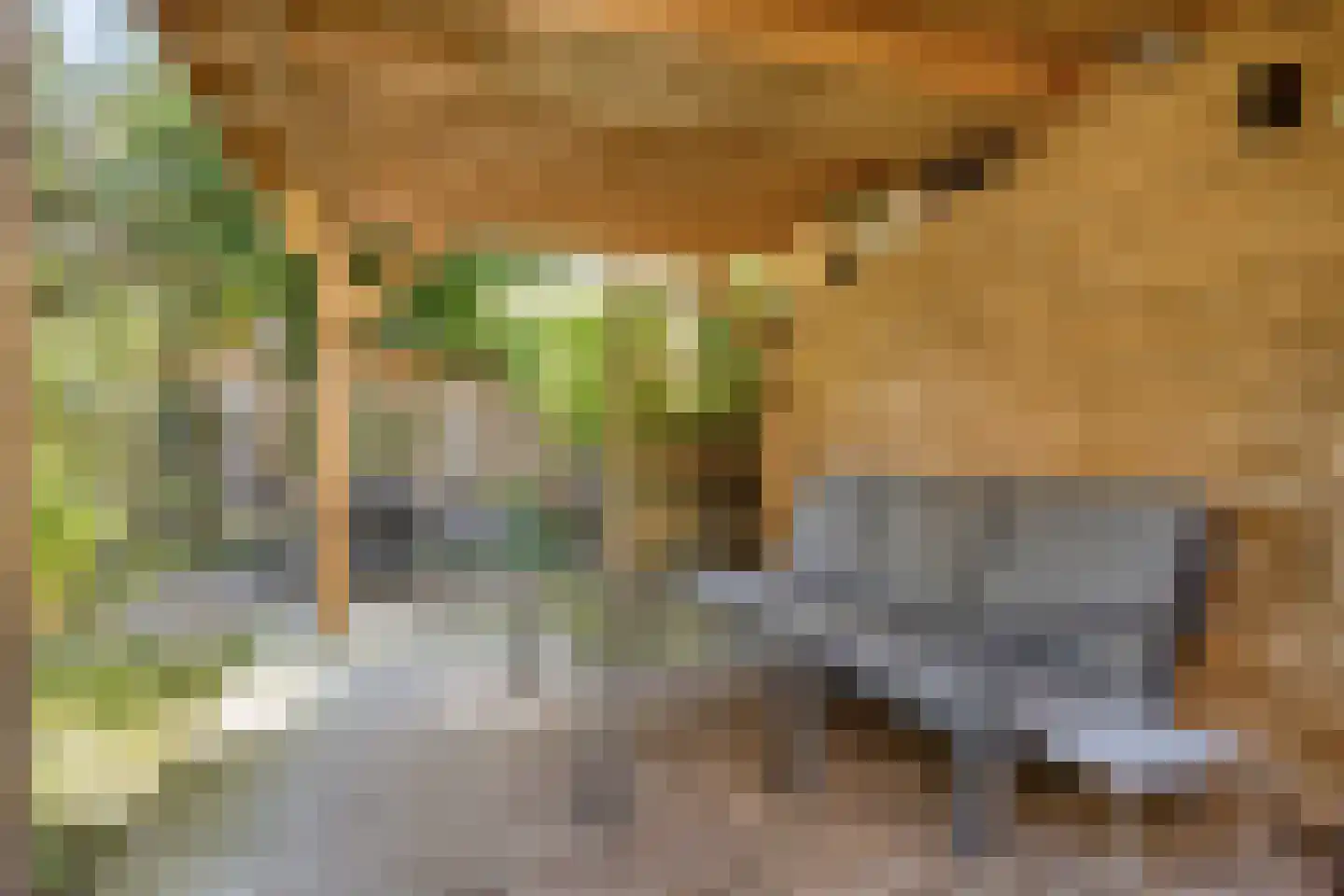 Enkhuizenstraat 14 Arnhem thumbnail 15
