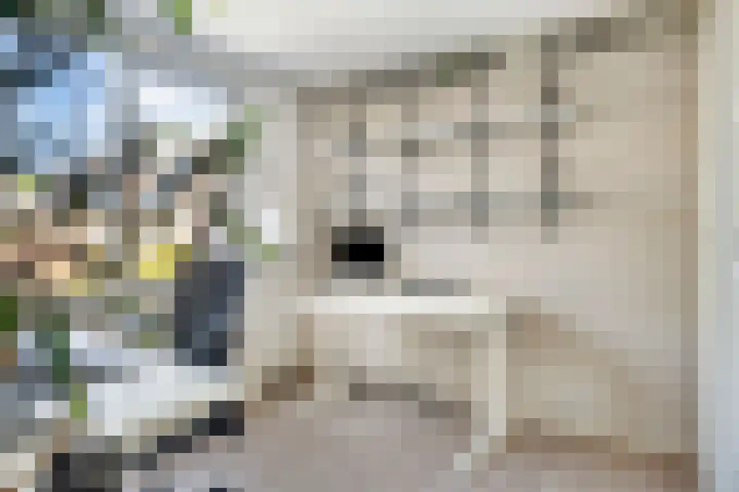 Enkhuizenstraat 14 Arnhem thumbnail 23