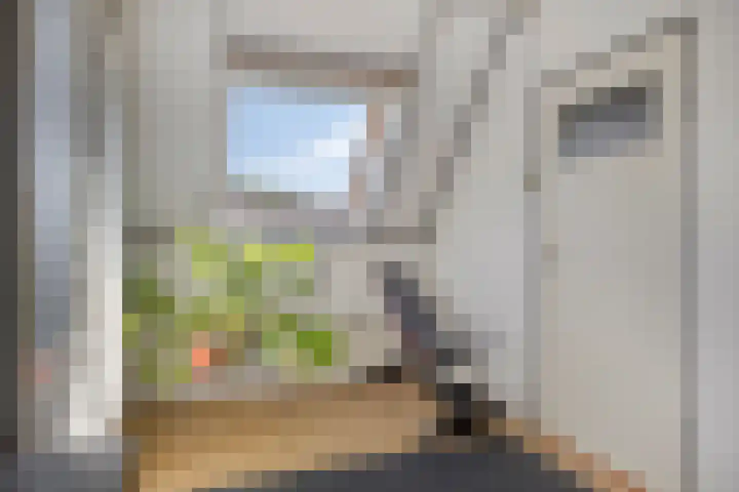 Enkhuizenstraat 14 Arnhem thumbnail 32