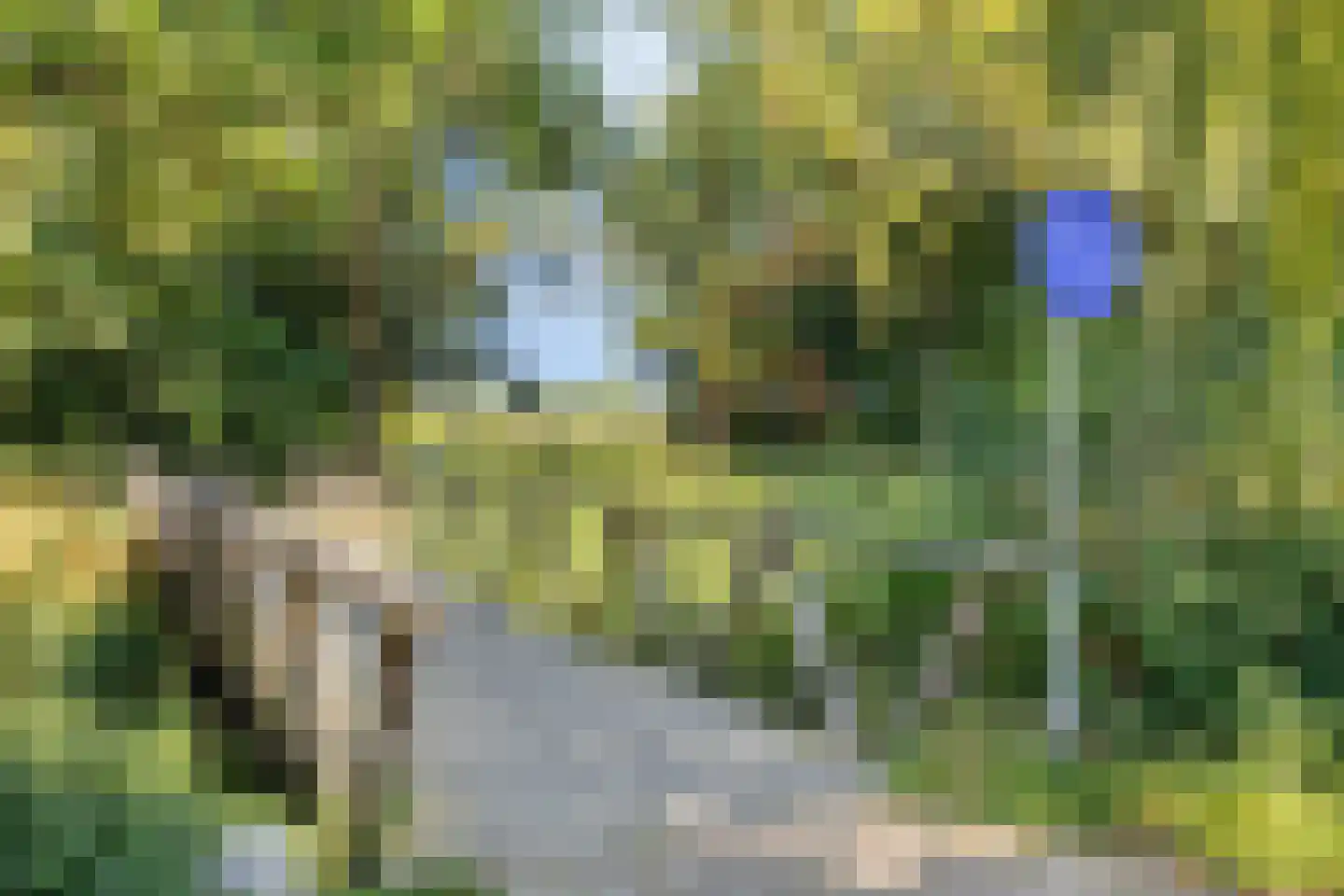 Enkhuizenstraat 14 Arnhem thumbnail 38