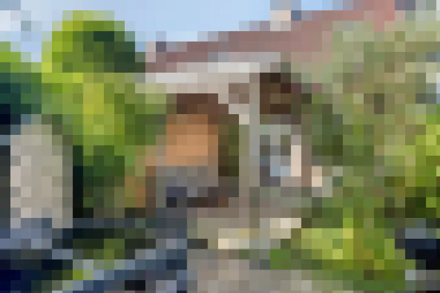Enkhuizenstraat 14 Arnhem thumbnail 9