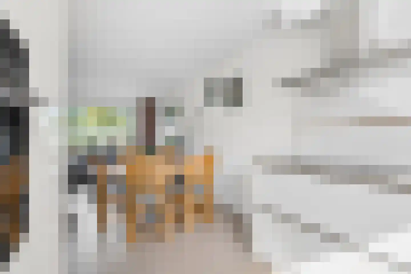 Enkhuizenstraat 40 Arnhem thumbnail 13