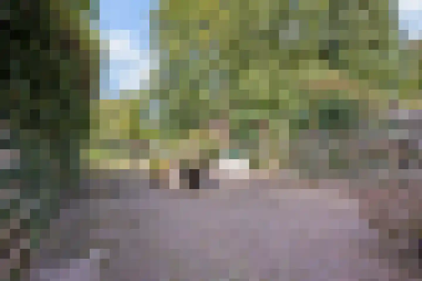 Enkhuizenstraat 40 Arnhem thumbnail 6