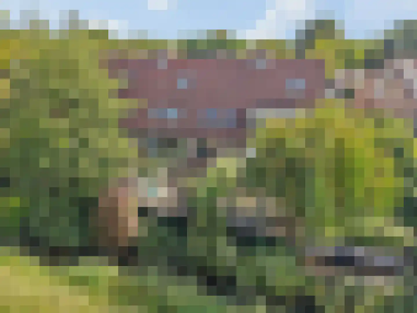 Enkhuizenstraat 40 Arnhem thumbnail 7