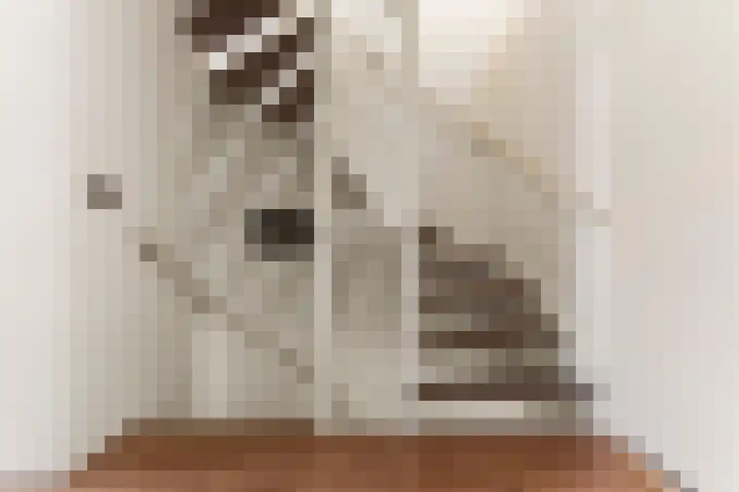 Enkhuizenstraat 6 Arnhem thumbnail 17