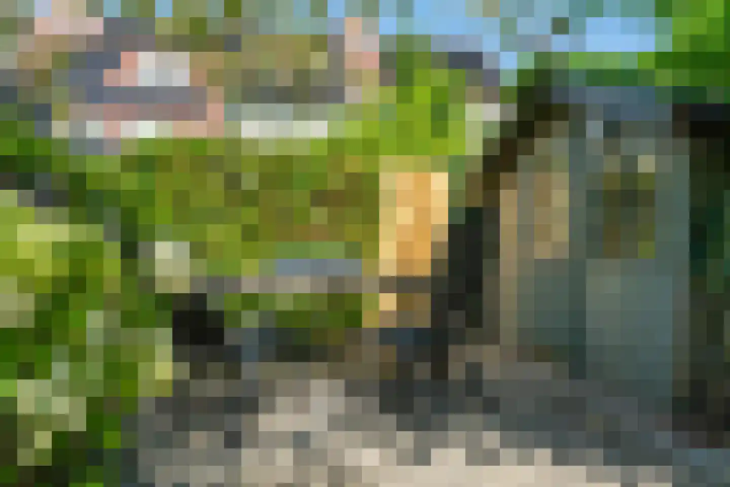 Enkhuizenstraat 6 Arnhem thumbnail 38