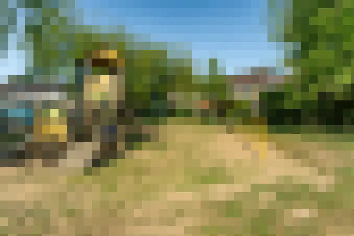 Enkhuizenstraat 6 Arnhem thumbnail 45