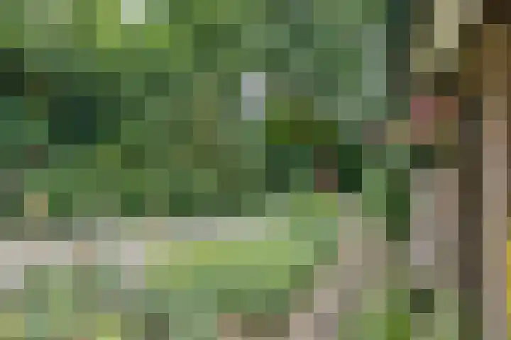 Enkhuizerlaan 6 A Rijs thumbnail 10