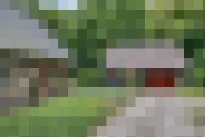 Enkhuizerlaan 6 A Rijs thumbnail 12