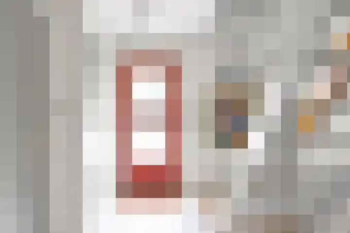 Enkhuizerlaan 6 A Rijs thumbnail 14