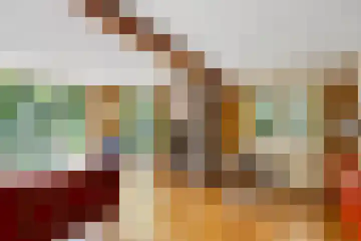Enkhuizerlaan 6 A Rijs thumbnail 18