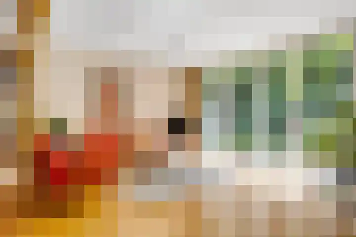 Enkhuizerlaan 6 A Rijs thumbnail 19