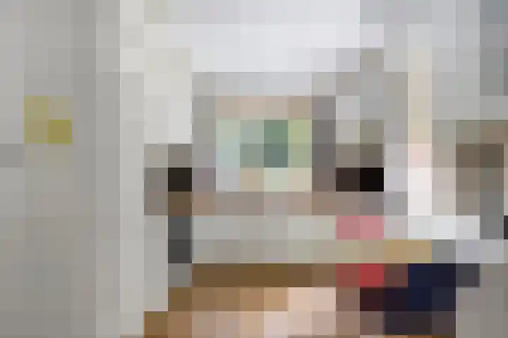 Enkhuizerlaan 6 A Rijs thumbnail 24